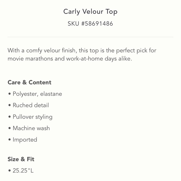 Nwt Carly velour top blue small - Picture 2 of 6